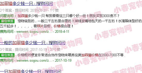 加菲猫价格图片大全黑白