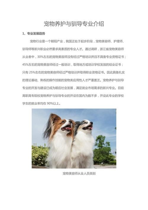 宠物养护与驯导（宠物养护与驯导专业）