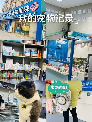 记录宠物就医