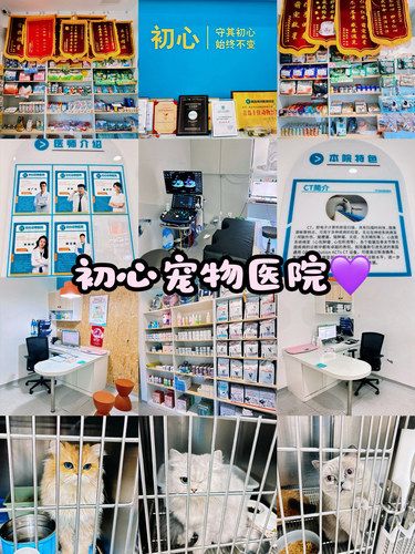 初心｜青岛值得信赖的宠物医院