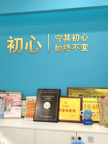 青岛，我心中的“宠物健康守护神”！