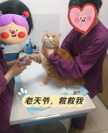 天啦噜，救救我[笑脸][笑脸][笑脸]