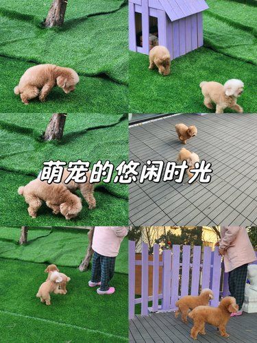 土匪甲土匪乙的游乐园