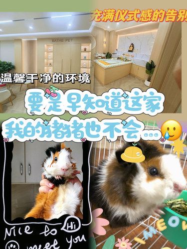 求大数据把这条推给爱宠人士我不允许谁不知道
