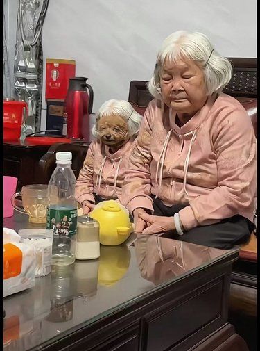 都说狗狗像主人，我本来还不信