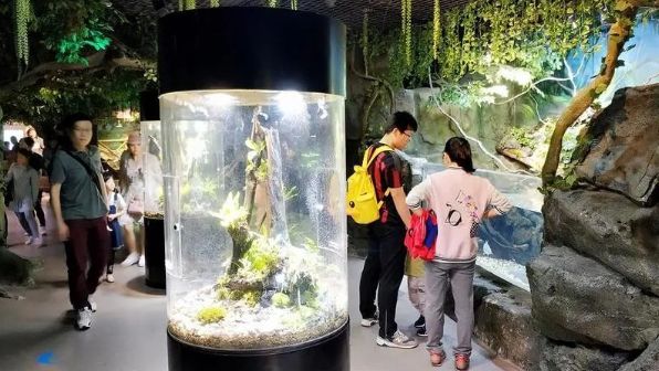 石家庄萌宠奇缘