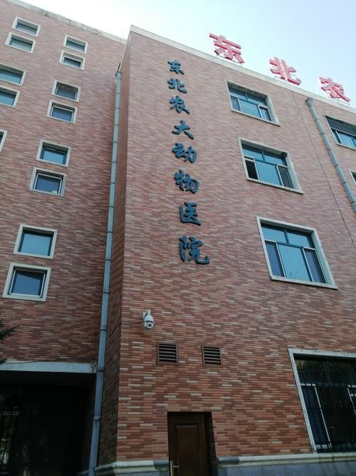 北京通州农大宠物医院，请问北京哪里有24小时宠物医院？