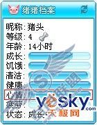 QQ宠物 猪猪1