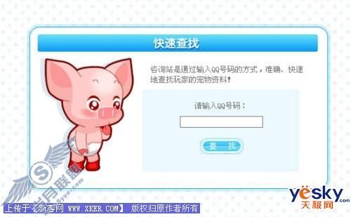 QQ宠物 猪猪4