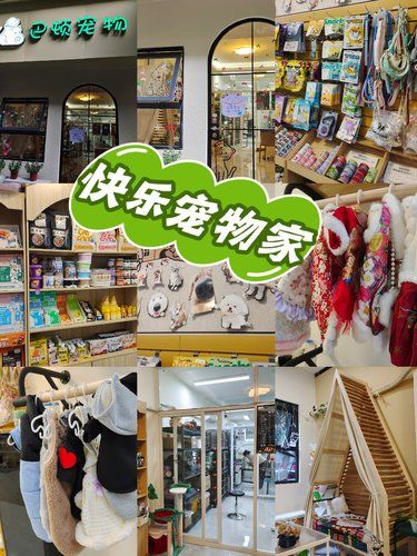 这家藏在巷子里的宠物店治愈了我