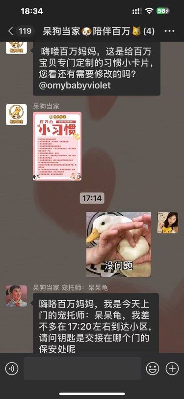 猫猫寄养天菜