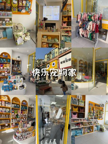 洗个澡变身宠物干洗师