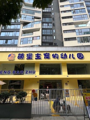 宠物的快乐天堂 超棒宠物幼儿园