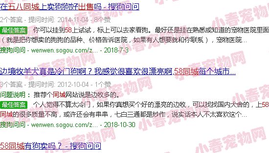 58同城宠物狗出售边牧