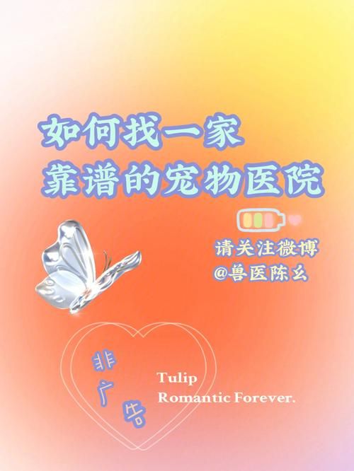 我所在的城市里有一家宠物医院用英语怎么说 我所在的城市里有一家宠物医院用英语怎么说
