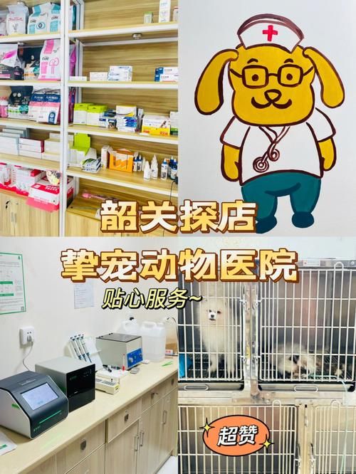 我所在的城市里有一家宠物医院用英语怎么说 我所在的城市里有一家宠物医院用英语怎么说