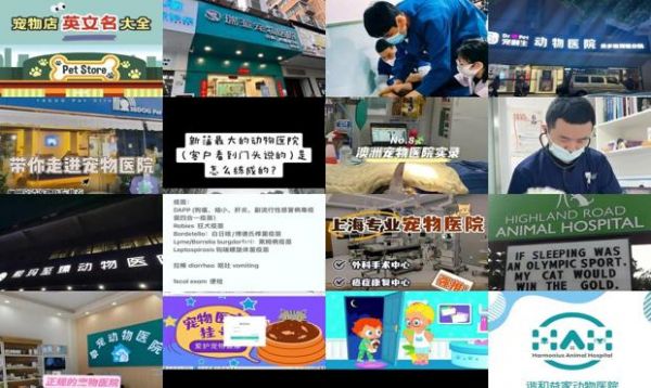 宠物医院的英文