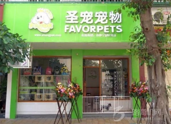 圣宠宠物店