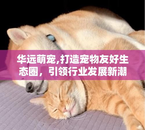 华远萌宠,打造宠物友好生态圈，引领行业发展新潮流