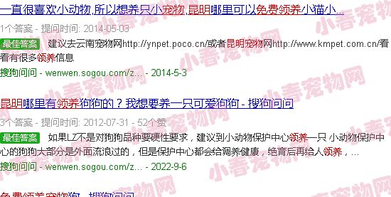 昆明宠物免费领养中心