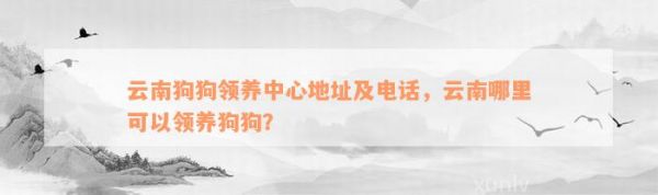 云南狗狗领养中心地址及电话，云南哪里可以领养狗狗？