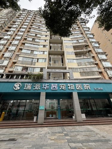 在成都，毛孩子来这家宠物医院真的让人安心‼️