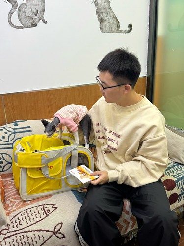 成都宠物医院这家真的很放心！