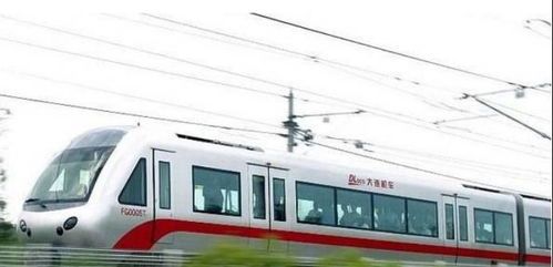 轻轨可以带宠物吗？？城市轻轨带宠物指南