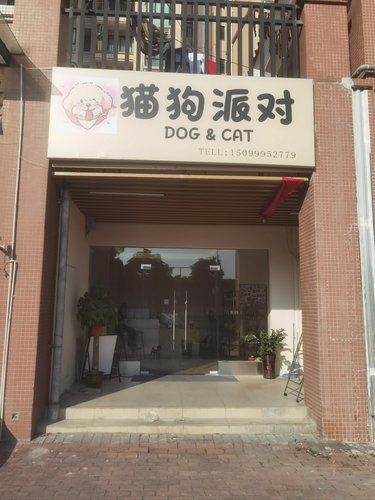 猫狗派对探店记