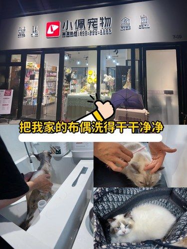 宠物洗澡美容我只服这间