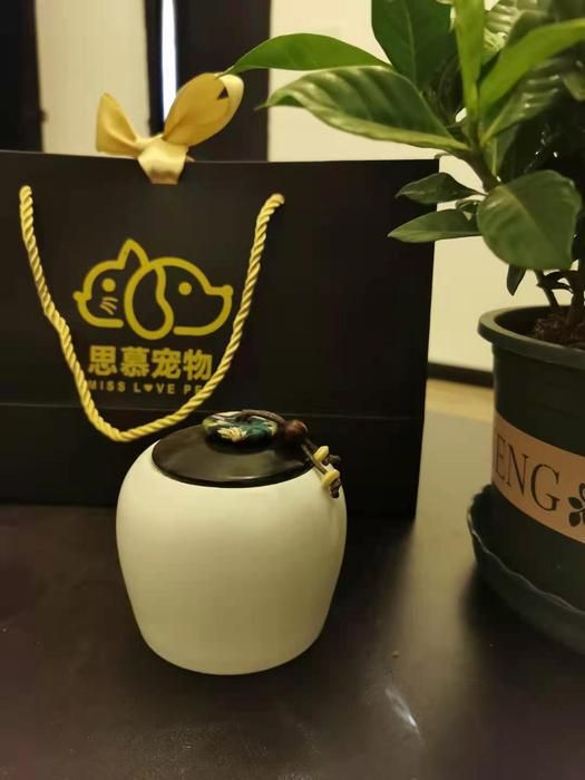 苏州思慕宠物遗体huo'hua