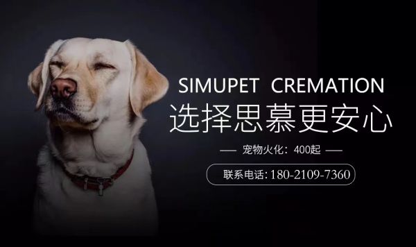 上海思慕宠物善终全国连锁