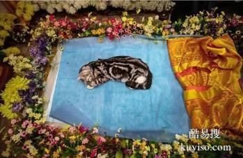 恩施宠物火化上门服务