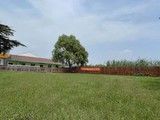 杨浦宠物训练 随地大小便 正规宠物训练学校