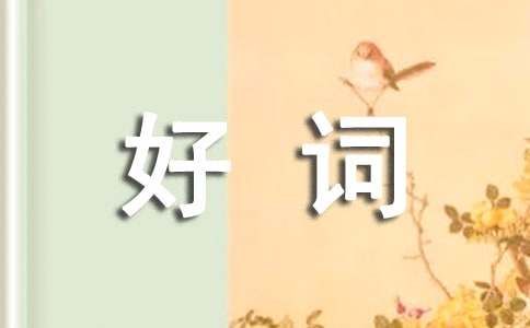 爱护动物的好词好句