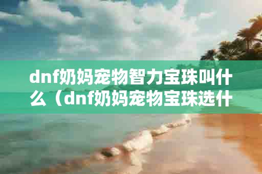 dnf奶妈宠物智力宝珠叫什么（dnf奶妈宠物宝珠选什么）