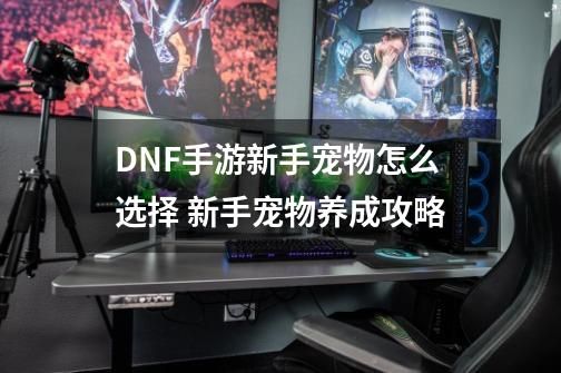DNF手游新手宠物怎么选择 新手宠物养成攻略-第1张-游戏资讯-智辉网络
