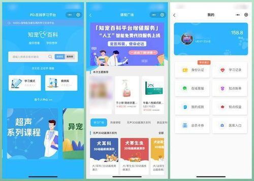 如何成为一名优秀的宠物医生？宠物医生必备技能和职业发展规划