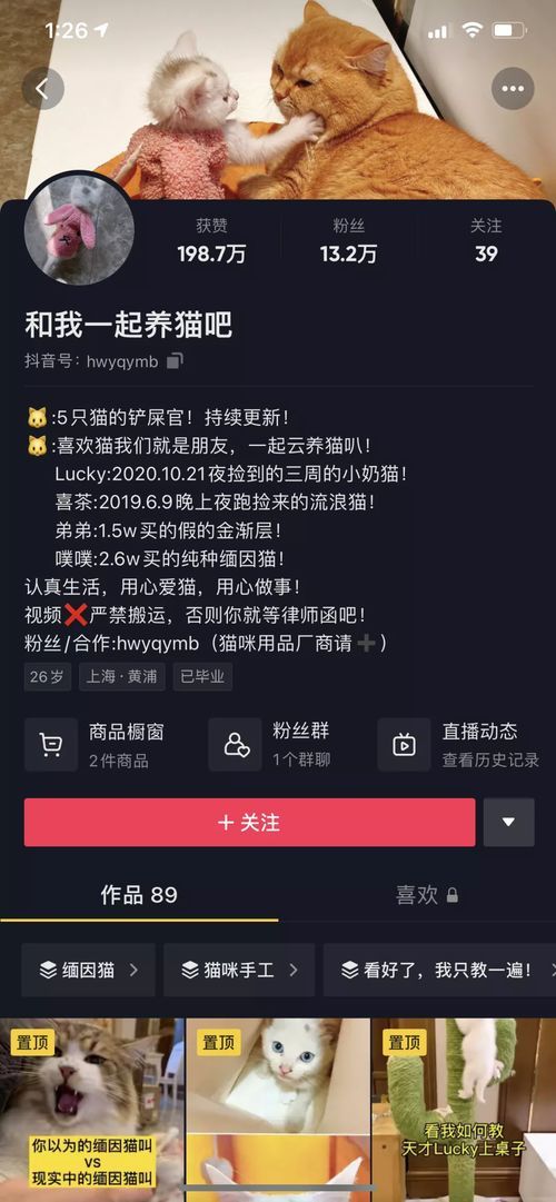 如何成为一名优秀的宠物医生？宠物医生必备技能和职业发展规划