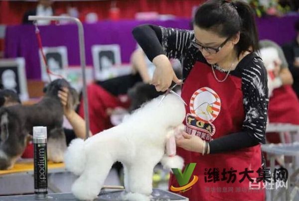 一诺宠物美容师培训学校，免费试学，让你赢在起跑线