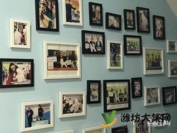 一诺宠物美容师培训学校，免费试学，让你赢在起跑线