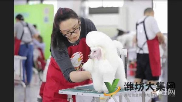 一诺宠物美容师培训学校，免费试学，让你赢在起跑线