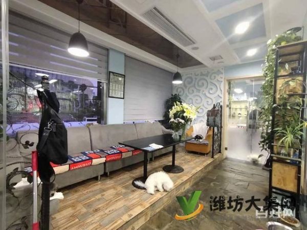 一诺宠物美容师培训学校，免费试学，让你赢在起跑线