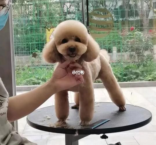 苏州美容学校有哪些