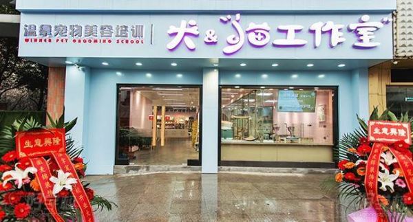 合肥温拿宠物美容学校 学校环境