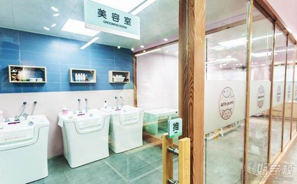 合肥温拿宠物美容学校 学校环境