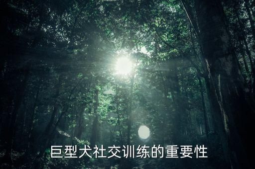  巨型犬社交训练的重要性