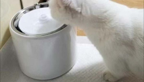 宠物喂水器漏水怎么办？怎么提高宠物喂水器使用效率