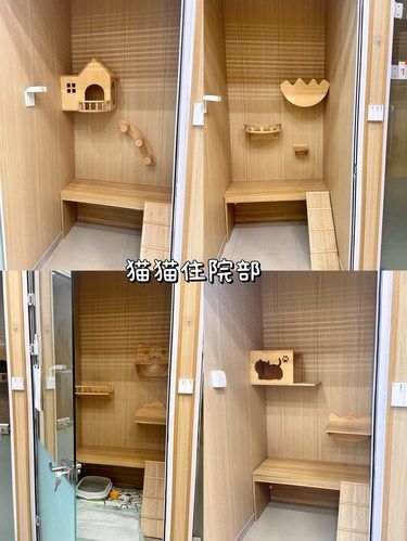 净月｜五级24小时动物医院