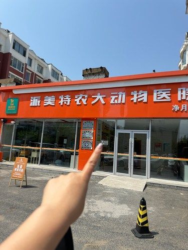 铲屎官们记住这个位置哦